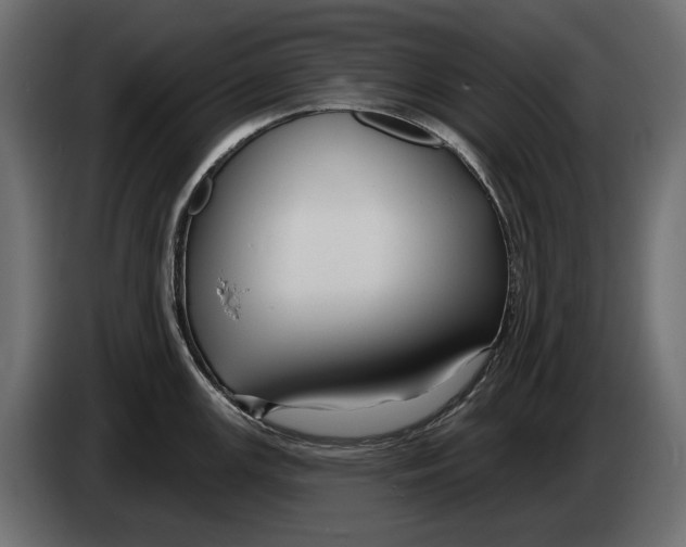 X0000082931147200703020100