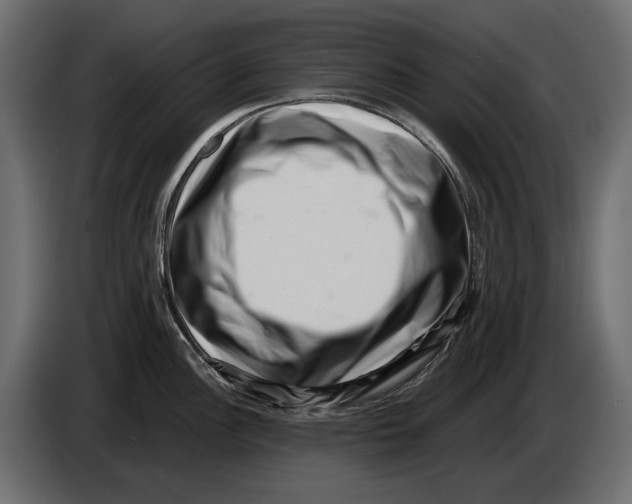 X0000082931148200703020100