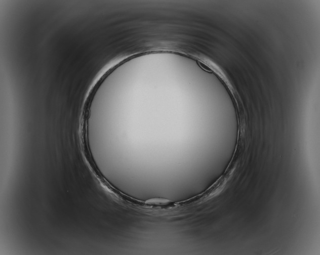 X0000082931149200703020100