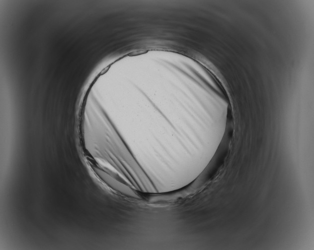 X0000082931152200703020100