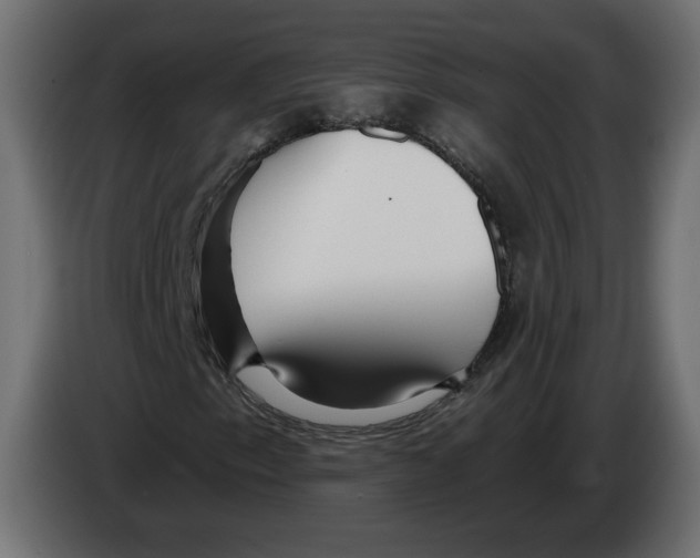 X0000082931153200703020059