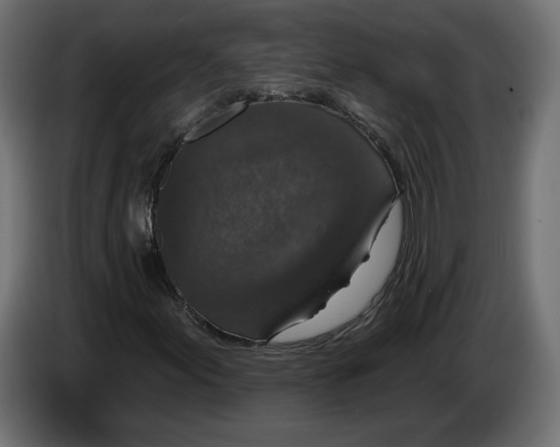 X0000082931155200703020059