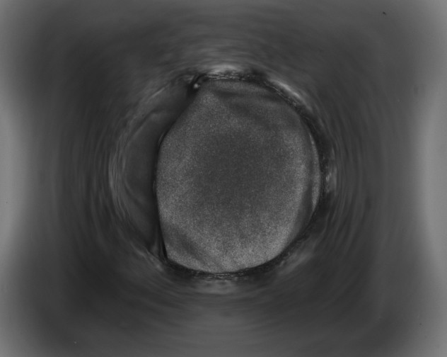 X0000082931156200703020059