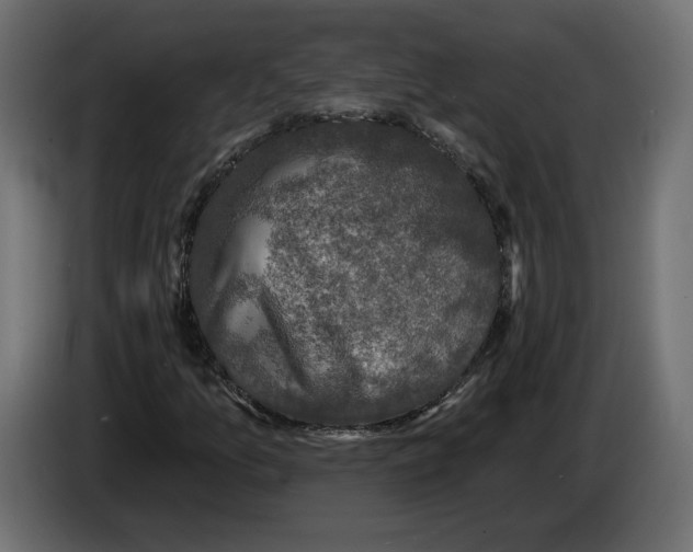 X0000082931157200703020059