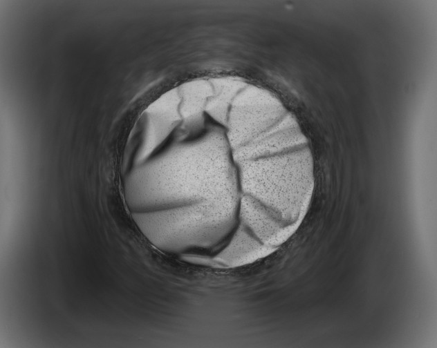 X0000082931158200703020059