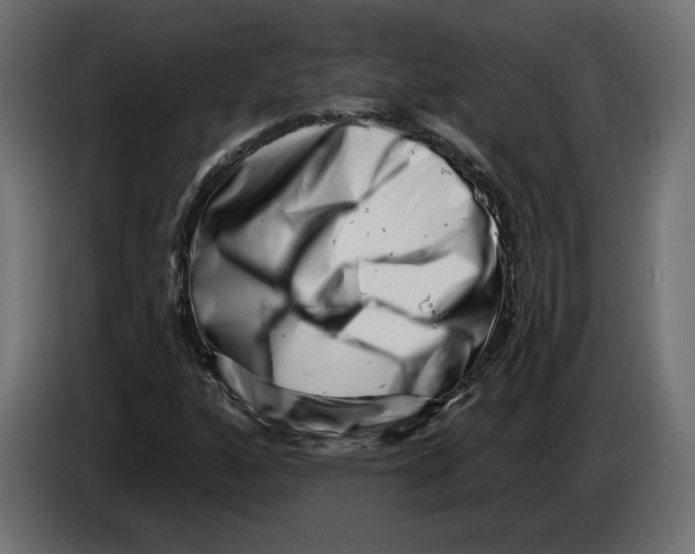 X0000082931160200703020059