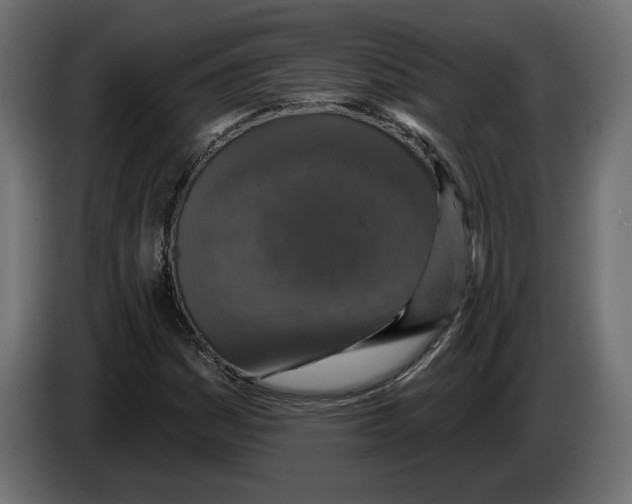 X0000082931161200703020059
