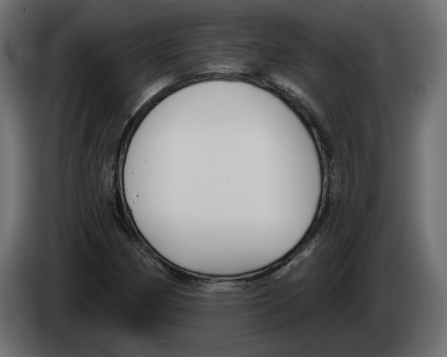 X0000082931162200703020059