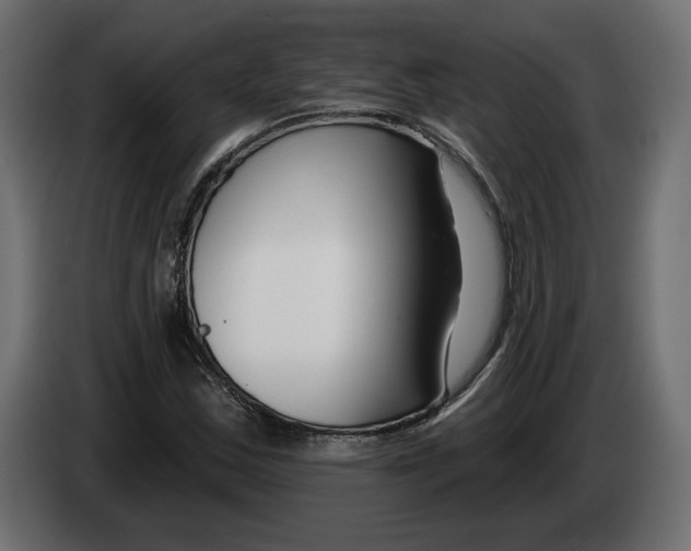 X0000082931163200703020059