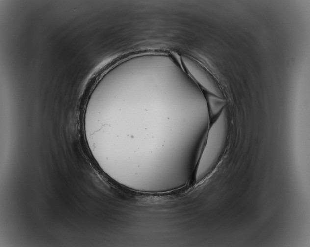 X0000082931164200703020059