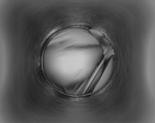 X0000082931165200703020059
