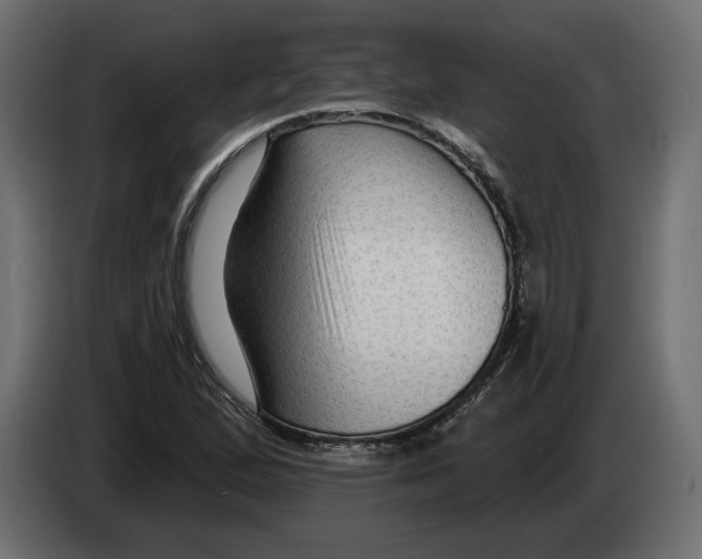 X0000082931167200703020059