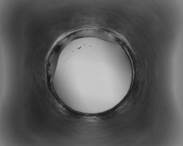 X0000082931168200703020059