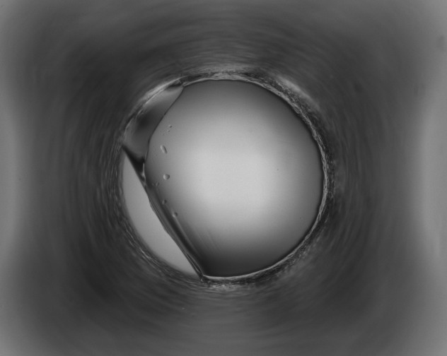 X0000082931169200703020059