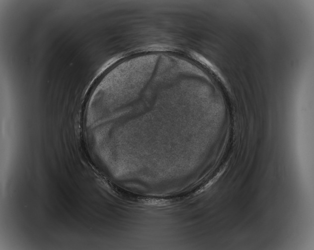 X0000082931170200703020059