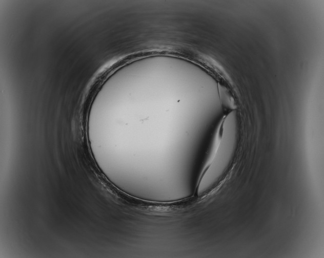 X0000082931172200703020059