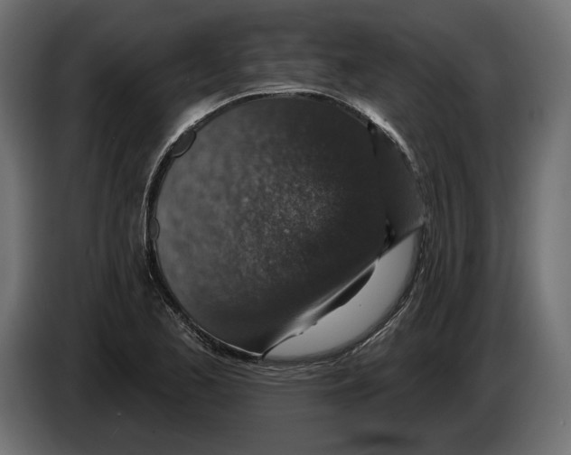 X0000082931173200703020059
