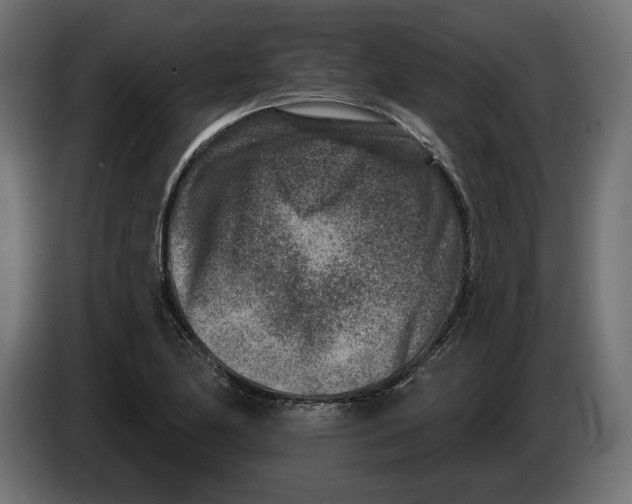 X0000082931174200703020059