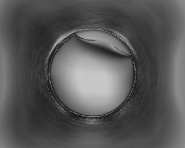 X0000082931176200703020059