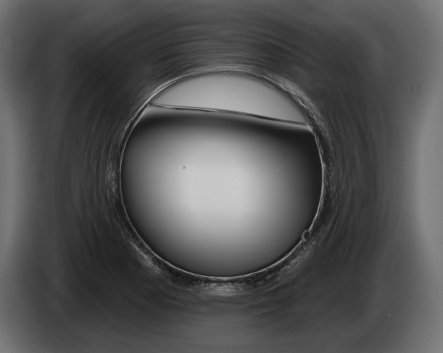 X0000082931177200703020059