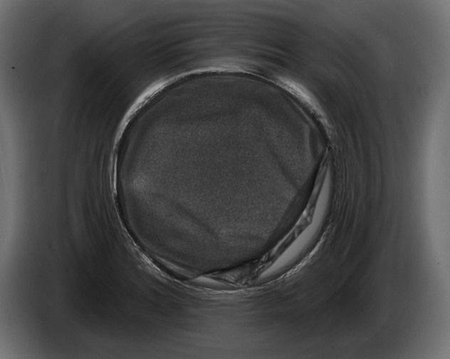 X0000082931180200703020059