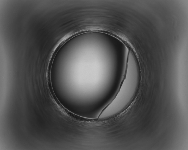 X0000082931181200703020059