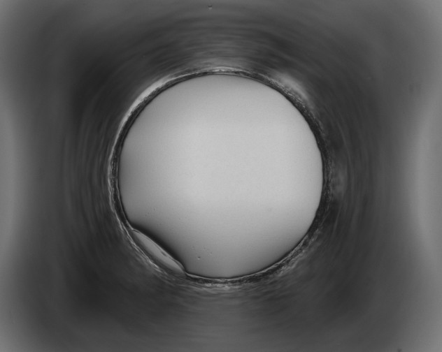 X0000082931182200703020059