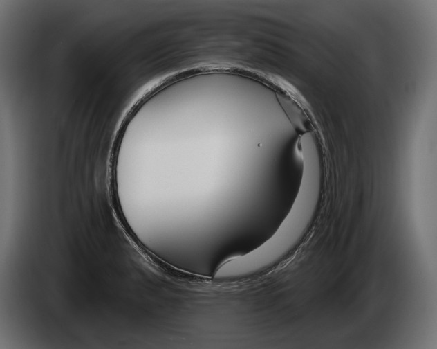 X0000082931183200703020059