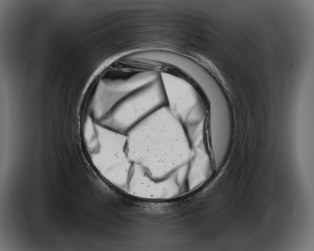X0000082931184200703020059