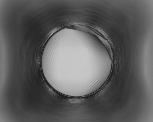 X0000082931185200703020059