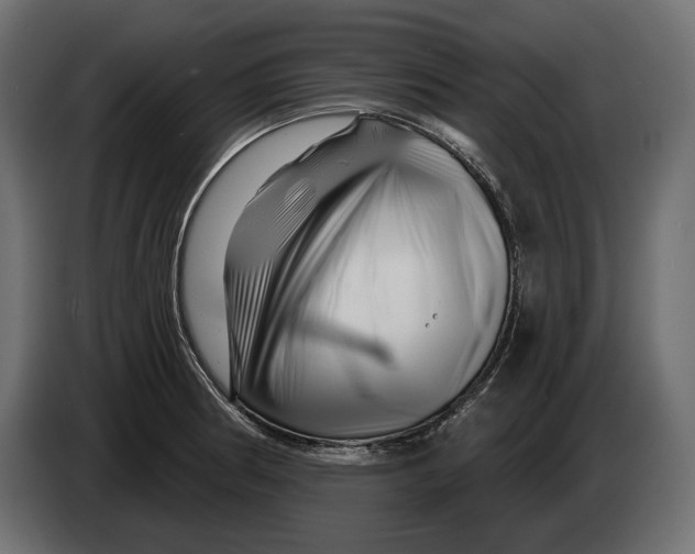 X0000082931186200703020059