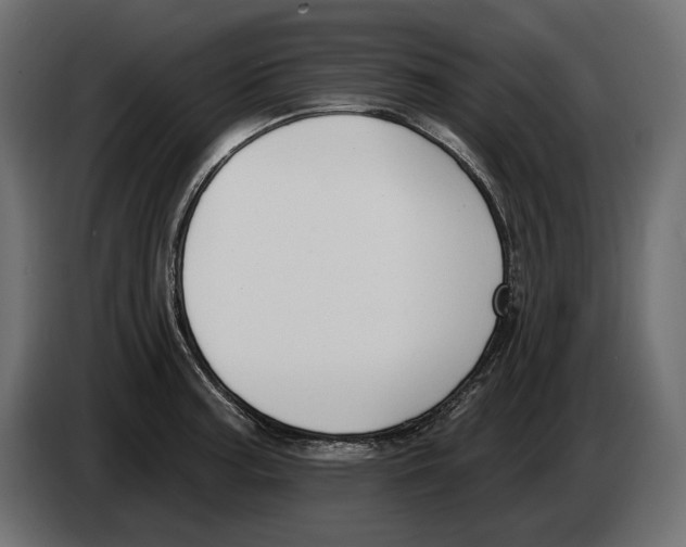 X0000082931187200703020059