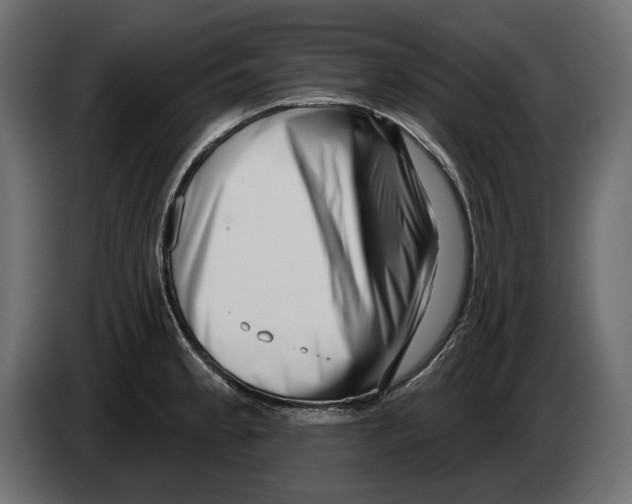 X0000082931189200703020059