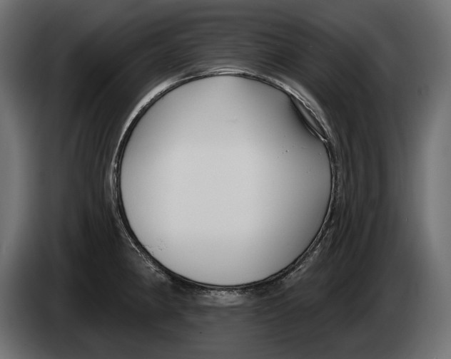X0000082931190200703020059