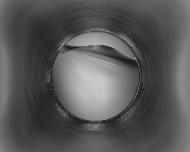 X0000082931193200703020058