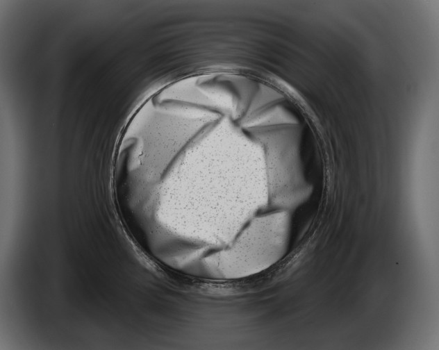 X0000082931194200703020058