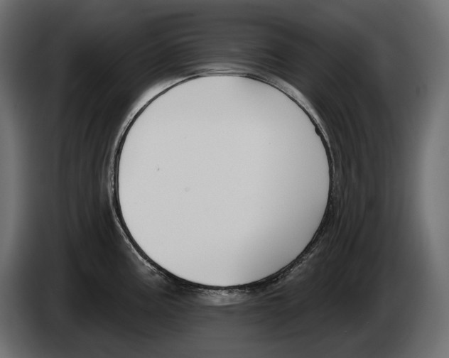 X0000082931195200703020058