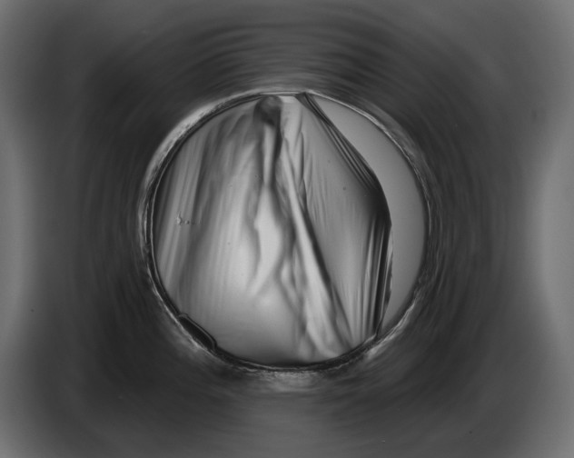 X0000082931196200703020058