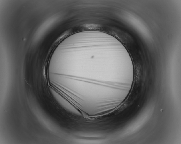 X0000082931198200703020058