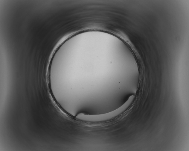 X0000082931199200703020058