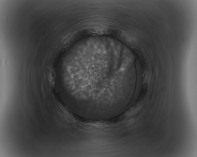 X0000082931202200703020058