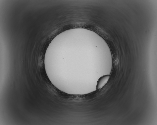 X0000082931204200703020058