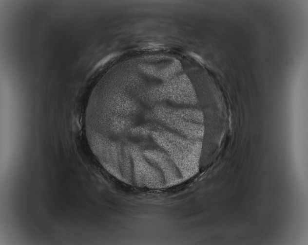 X0000082931206200703020058