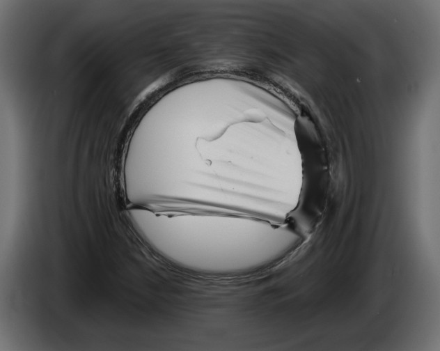 X0000082931210200703020058