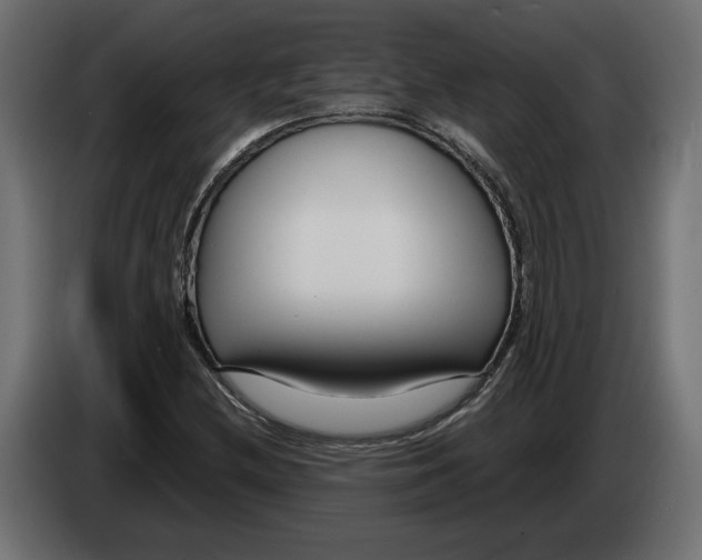 X0000082931212200703020058
