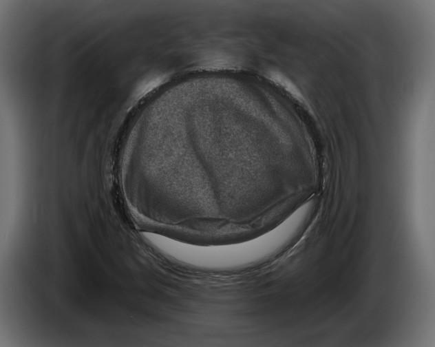 X0000082931213200703020058