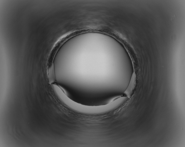 X0000082931214200703020058