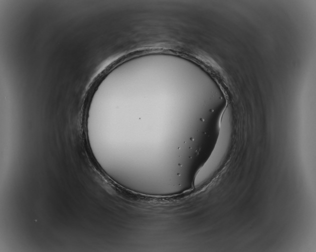 X0000082931216200703020058
