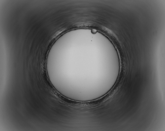 X0000082931217200703020058