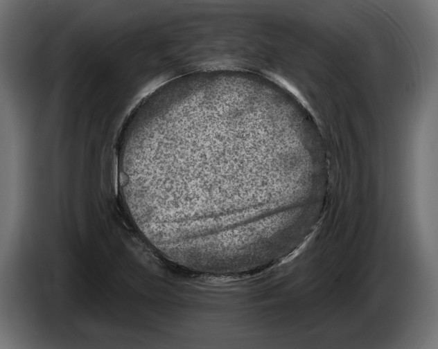 X0000082931219200703020058